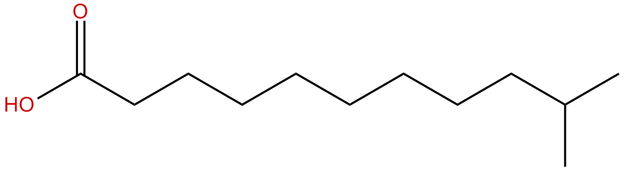 Image of 10-methylundecanoic acid