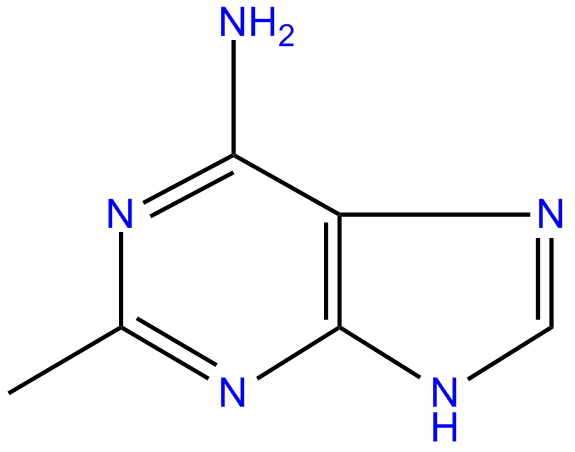 Image of 2-methyladenine