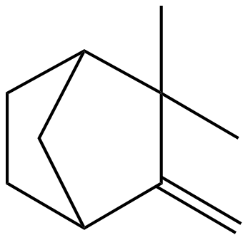 Image of 2,2-dimethyl-3-methylenebicyclo[2.2.1]heptane