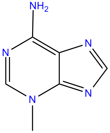 Image of 3-methyladenine