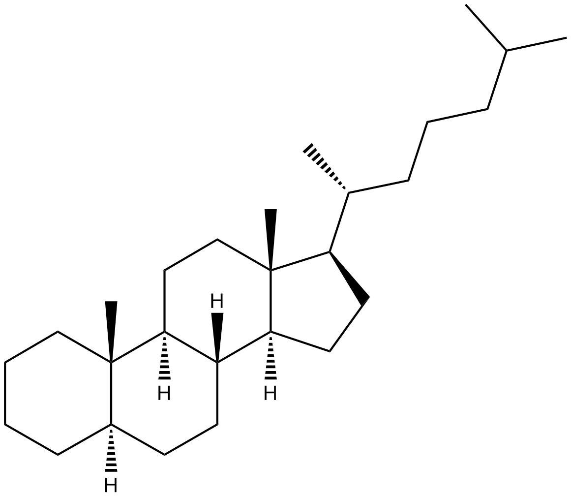Image of 5-alpha-cholestane