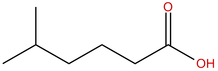 Image of 5-methylhexanoic acid