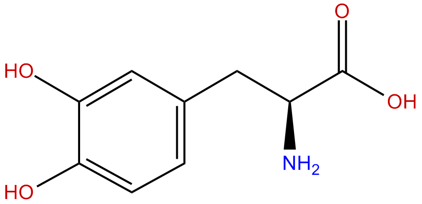 Image of L-3,4-dihydroxyphenylalanine