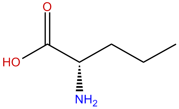 Image of (S)-2-aminopentanoic acid